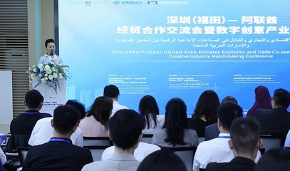 创意出海 文化远航 深圳(福田)-阿联酋经贸合作交流会暨数字创意产业对接会成功举办